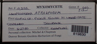 Image Associated With the Occurence